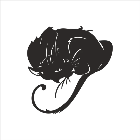 KEDİ FOLYO STİCKER ürün görseli