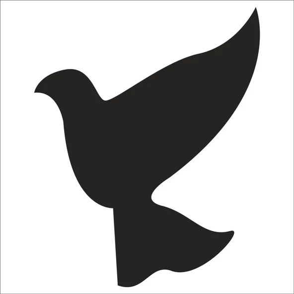 KUŞ FOLYO STİCKER DERSTV927 ürün görseli 1