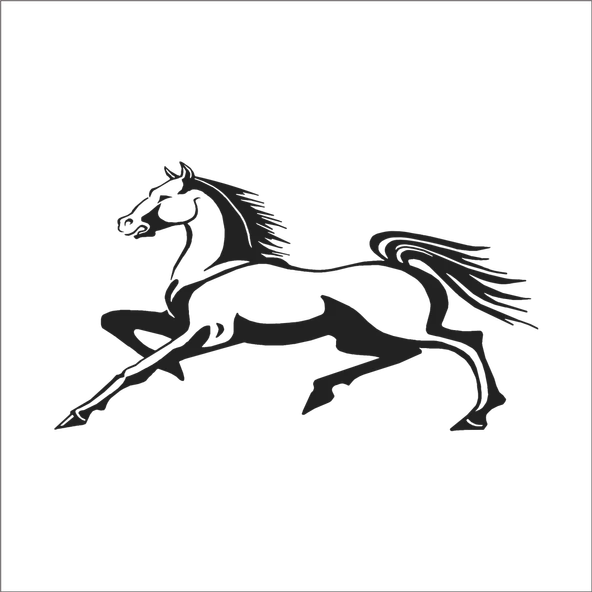 AT FOLYO STİCKER ürün görseli