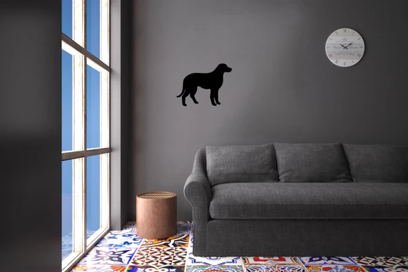 KÖPEK FOLYO STİCKER DERSTV880 - Resim 2