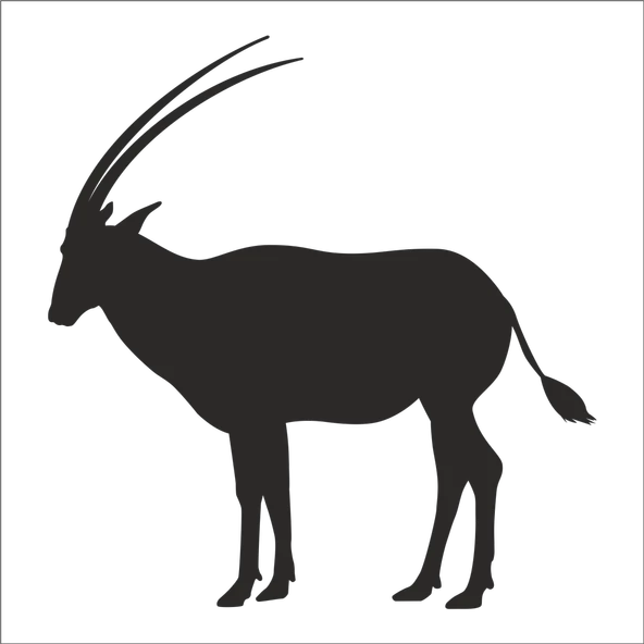 GEYİK FOLYO STİCKER ürün görseli 1