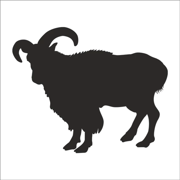 DAĞ KEÇİSİ FOLYO STİCKER