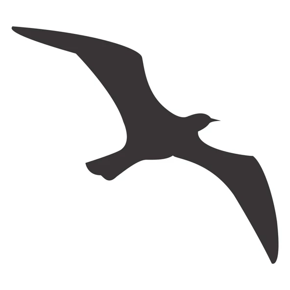 KUŞ FOLYO STİCKER ürün görseli