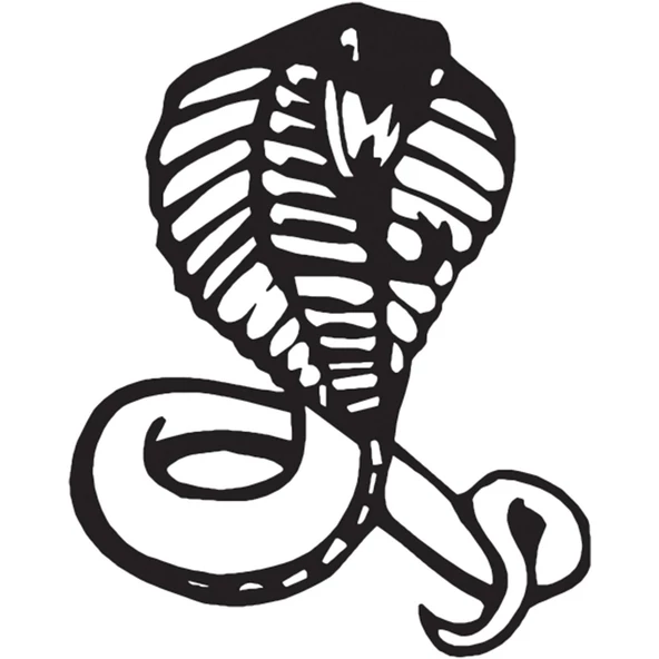 COBRA FOLYO STİCKER