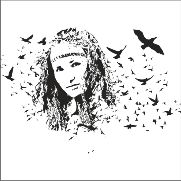 KIZILDERİLİ FOLYO STİCKER ürün görseli