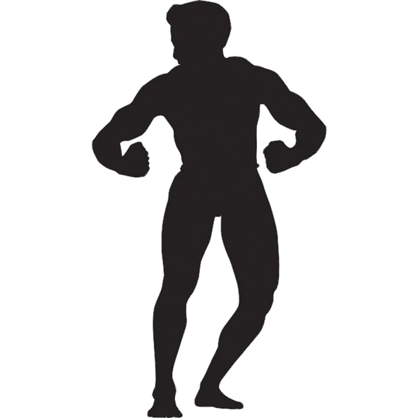 BODY GYM FOLYO STİCKER DERSTV1096 ürün görseli 1