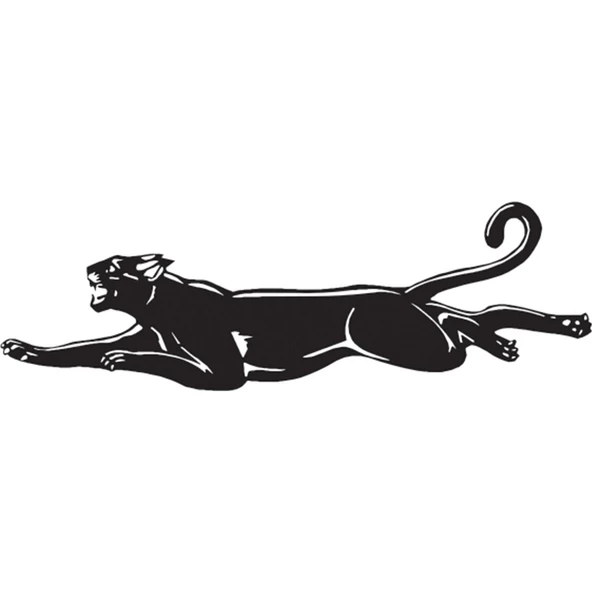 PANTER FOLYO STİCKER ürün görseli 1