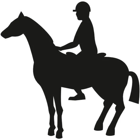 BİNİCİ FOLYO STİCKER ürün görseli