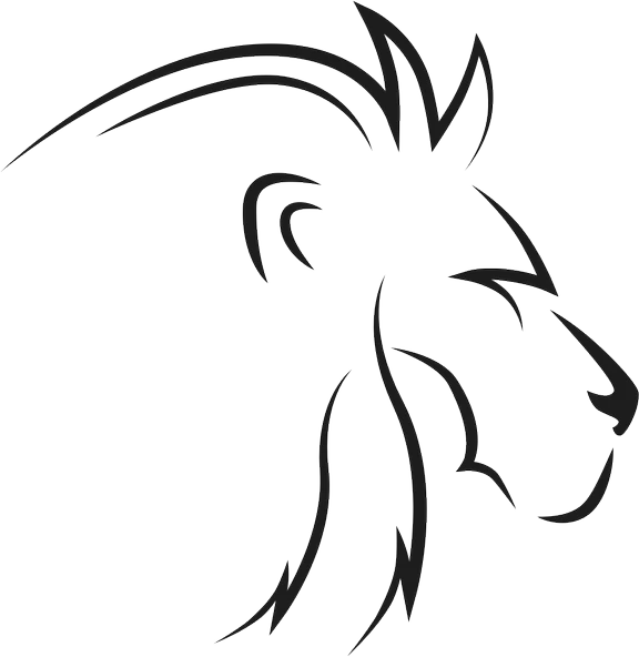 ASLAN 5 FOLYO STİCKER ürün görseli