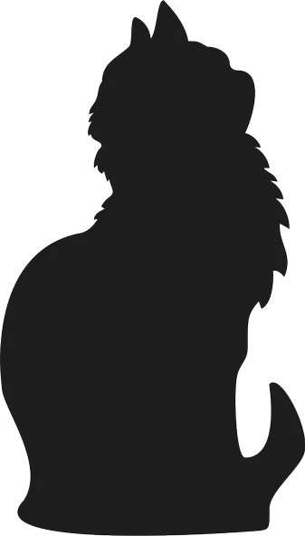 KEDİ FOLYO STİCKER ürün görseli 1