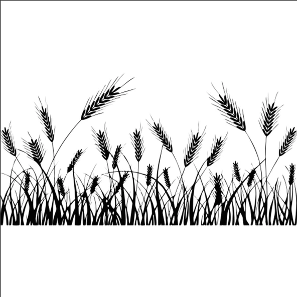 BUĞDAY BAŞAK FOLYO STİCKER ürün görseli