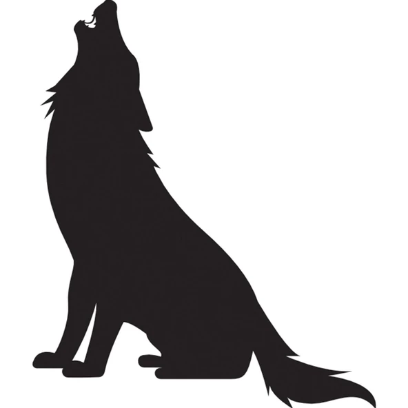 KURT FOLYO STİCKER ürün görseli