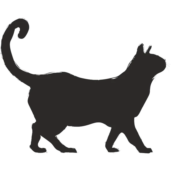 KEDİ FOLYO STİCKER ürün görseli 1