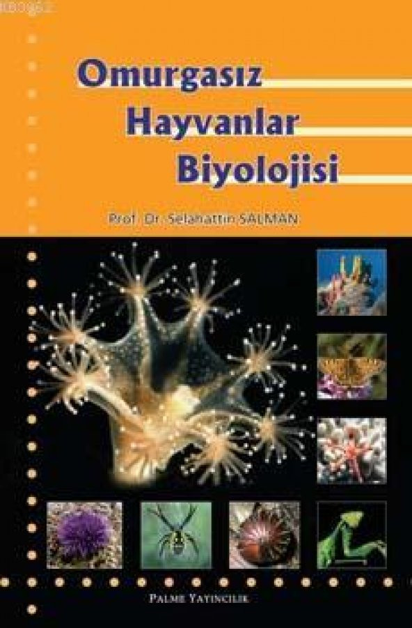 OMURGASIZ HAYVANLAR BİYOLOJİSİ - PALME