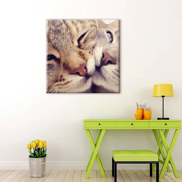 Kedi Çift  Kanvas Tablo - 2