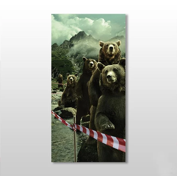 Ayılar Kanvas Tablo ürün görseli