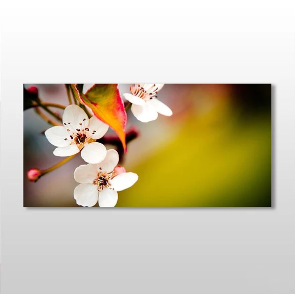 Bahar Ve Çiçekler Kanvas Tablo