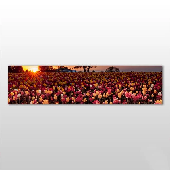 Laleler Kanvas Tablo ürün görseli