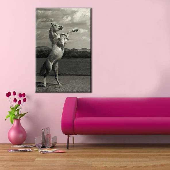 Şaha Kalkan At Kanvas Tablo - 2