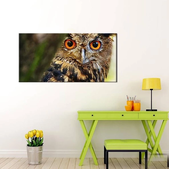 Baykuş Kanvas Tablo - Resim 2