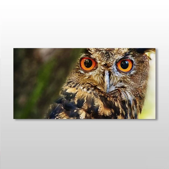 Baykuş Kanvas Tablo ürün görseli
