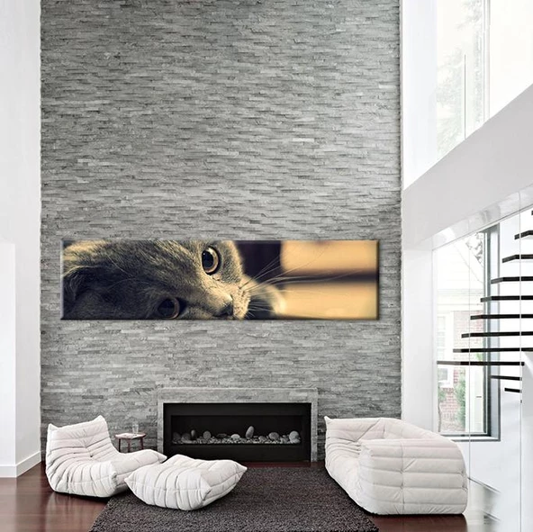 Kedi Kanvas Tablo - 2