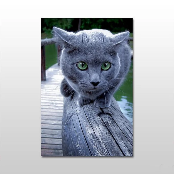 Gri Kedi Kanvas Tablo ürün görseli 1