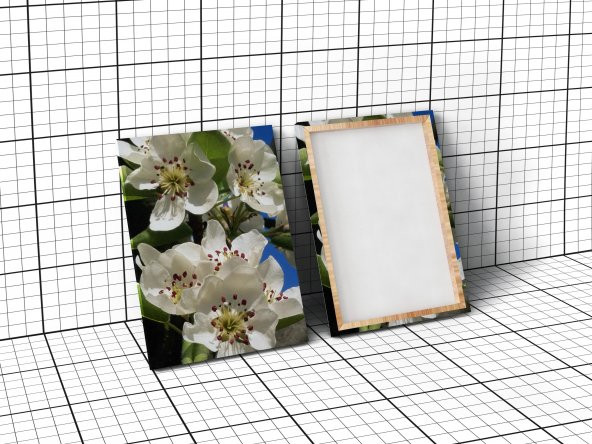 3D Kartal Kanvas Tablo - 2