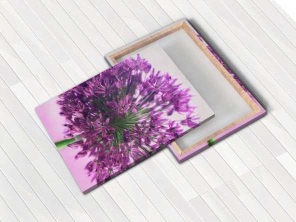 3D Kartal Kanvas Tablo - 3