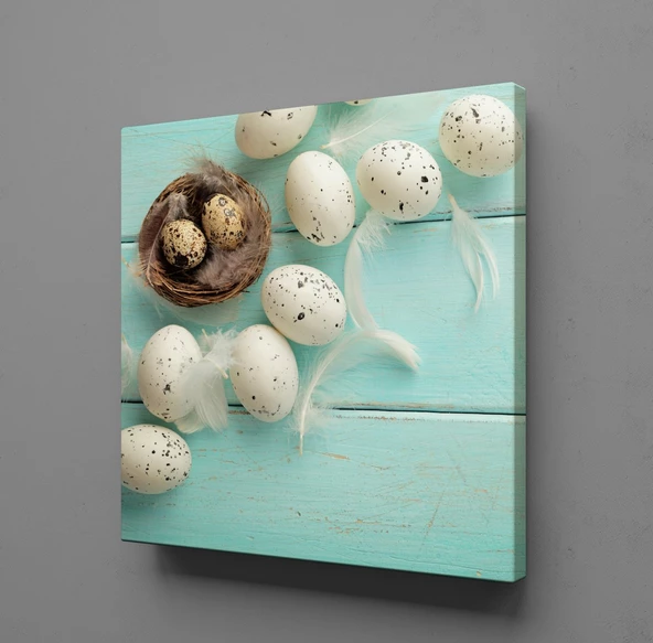 BILDIRCIN YUMURTALARI KANVAS TABLO ürün görseli 1