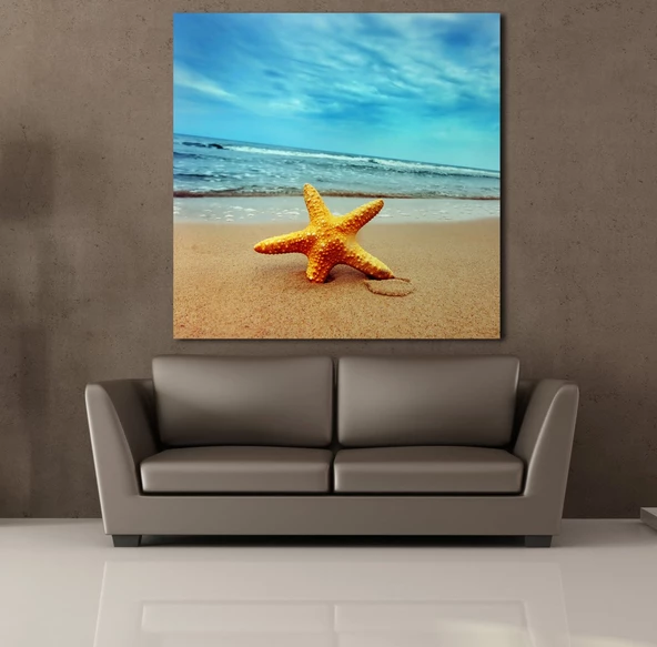 KUMSALDA DENİZ YILDIZI KANVAS TABLO - 2