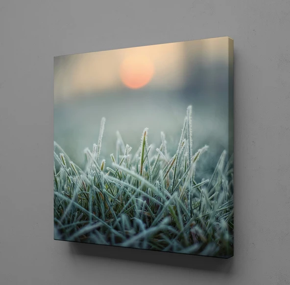 BUĞDAY BAŞAKLARI KANVAS TABLO - 2