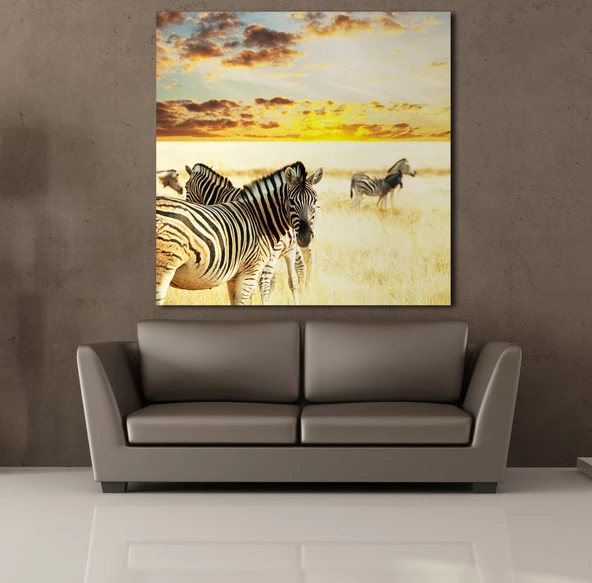 ZEBRA KANVAS TABLO - 2
