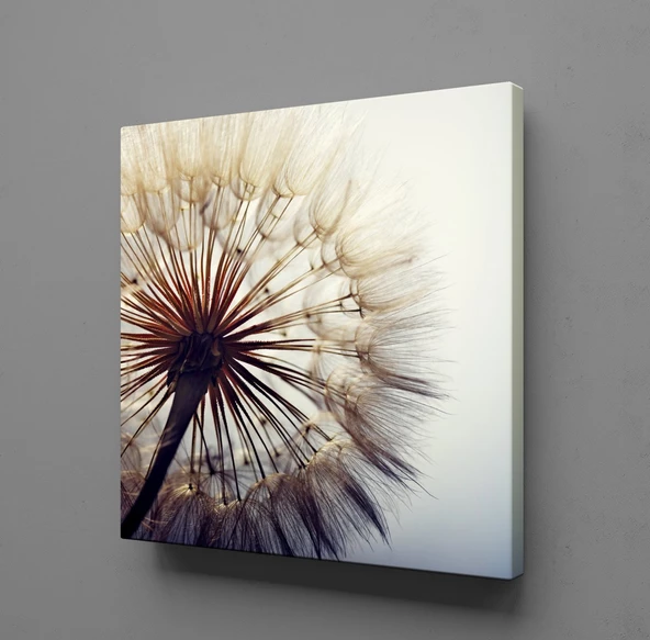 KARAHİNDİBA ÇİÇEĞİ RESİMLERİ KANVAS TABLO ürün görseli 1