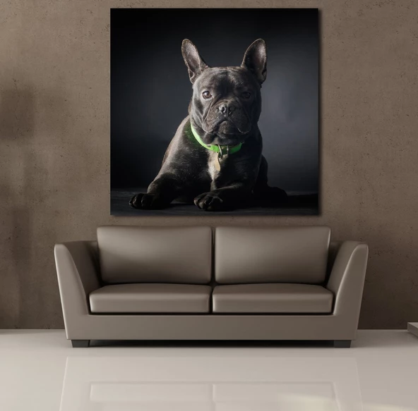 SİYAH KÖPEK KANVAS TABLO - 2
