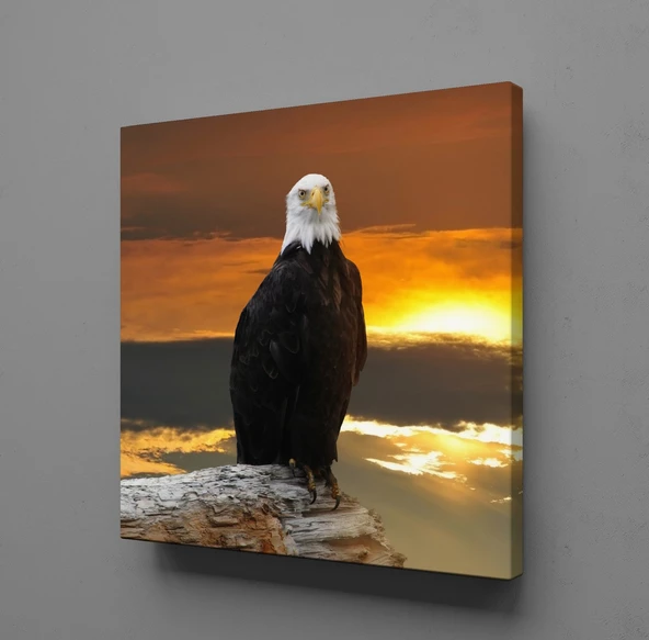 ŞAHİN KANVAS TABLO