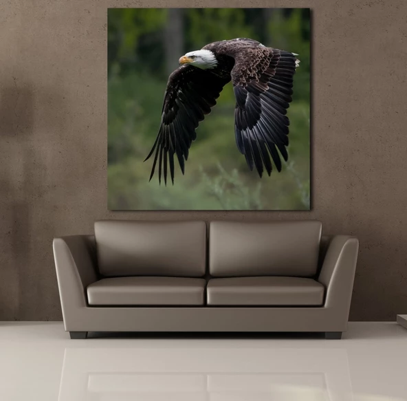 KARTAL KANVAS TABLO - Resim 2