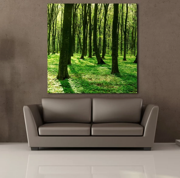 ORMAN KANVAS TABLO - Resim 2