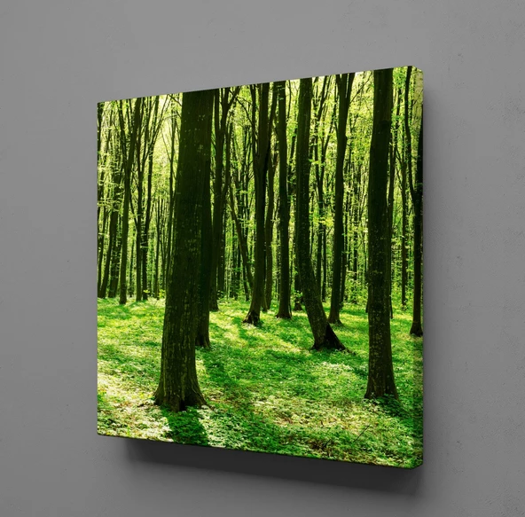 ORMAN KANVAS TABLO ürün görseli