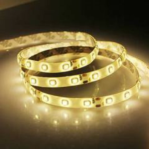 Şerit Led Gün Işığı Renk Tek Chip Dış Mekan (5 Metre)
