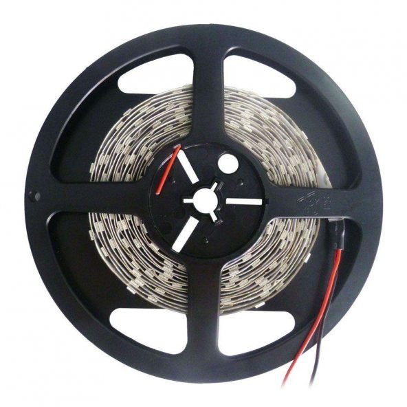 Şerit Led Mavi Renk Dış Mekan (5 Metre) Dış Mekan Silikonlu Led - 3