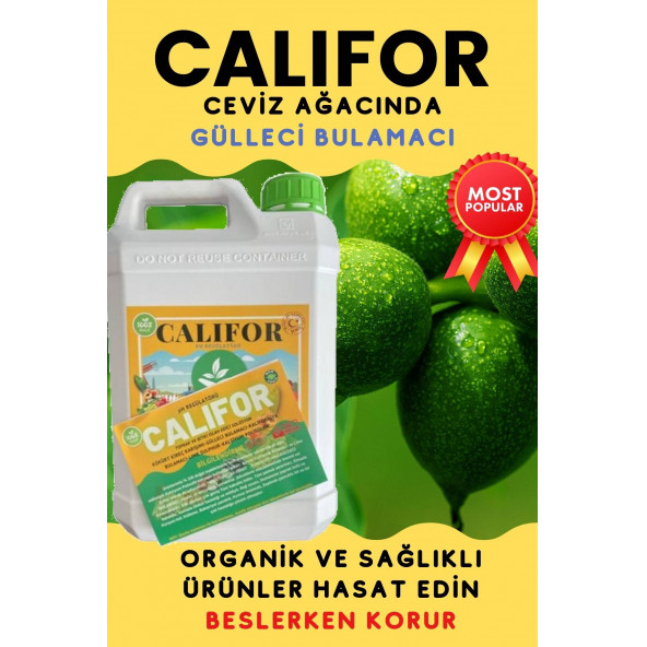 Gülleci Bulamacı 5 lt - 6