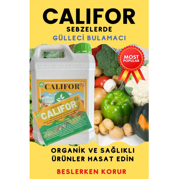 Gülleci Bulamacı 5 lt - 7