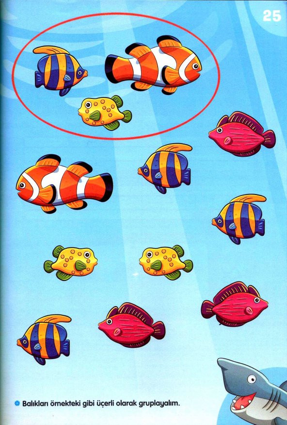 MATEMATİK ÇOK KOLAY SAYILARI SAY TOPLA ÇIKAR OKUL ÖNCESİ EĞİTİM - Resim 6