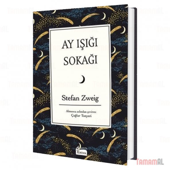 AY IŞIĞI SOKAĞI Stefan Zweig (BEZ CİLTLİ) ürün görseli