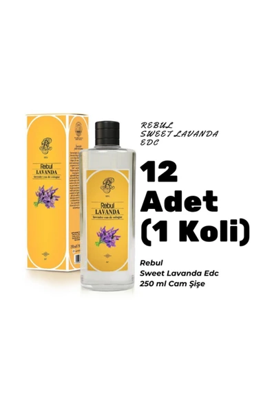 Rebul Lavanda Edc 250ml Cam Şişeli Lavanta Kokulu Kolonya 12 Adet (1 koli) ürün görseli