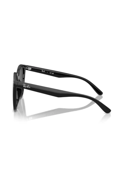 Rayban Unisex Güneş Gözlüğü RB4423D-601/87 - 3