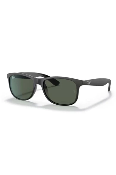 Rayban Unisex Güneş Gözlüğü RB4202-606971 - 2