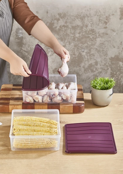 Selka Nora 2 Adet 4 Lt. Saklama Kabı - 3