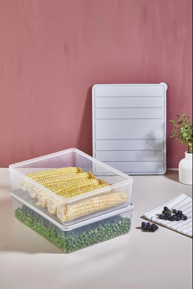 Selka Nora 2 Adet 4 Lt. Saklama Kabı - 5